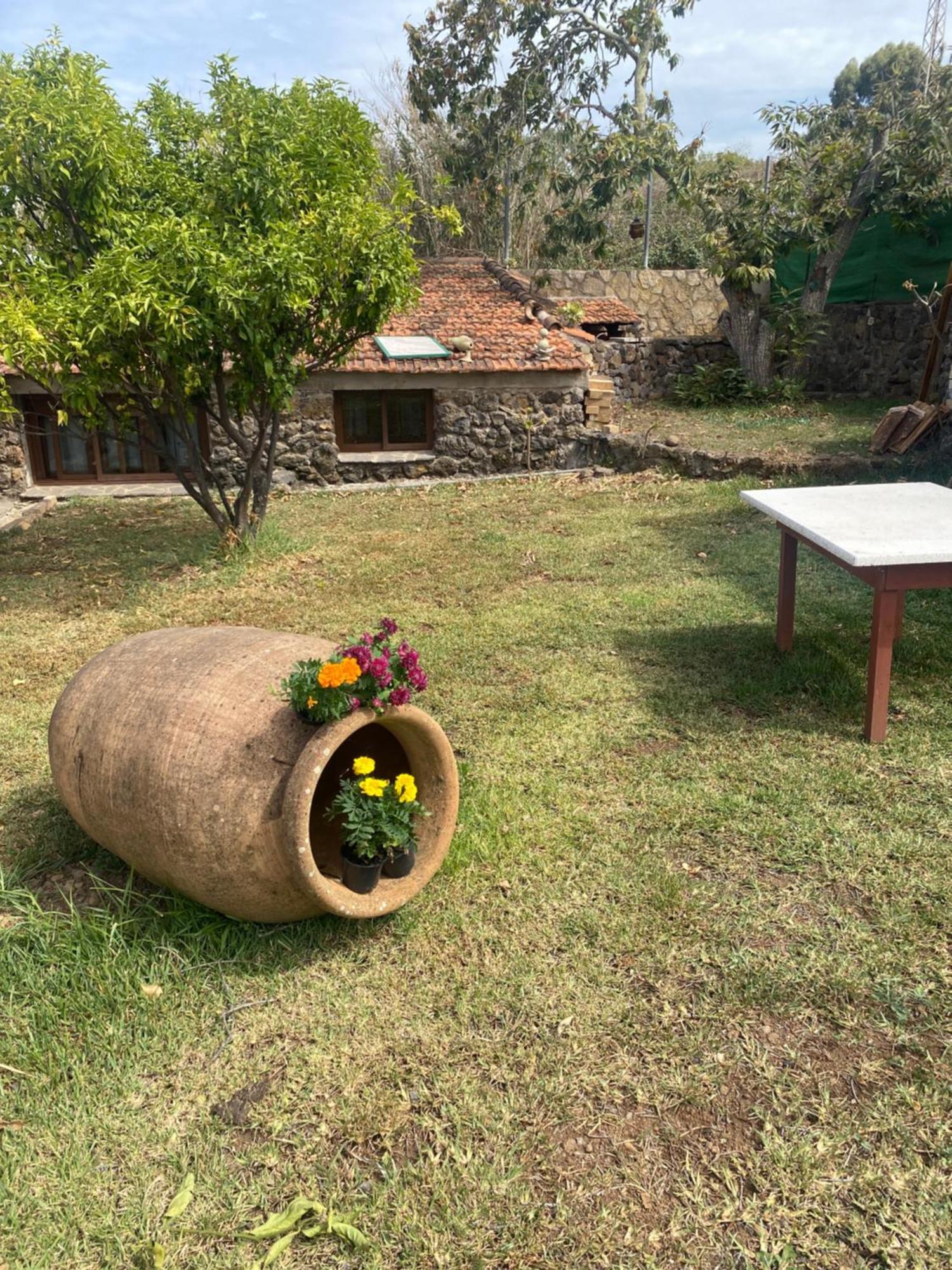 Vakantiehuis Rural House To Take A Break, La Serreria 25 - Private Garden