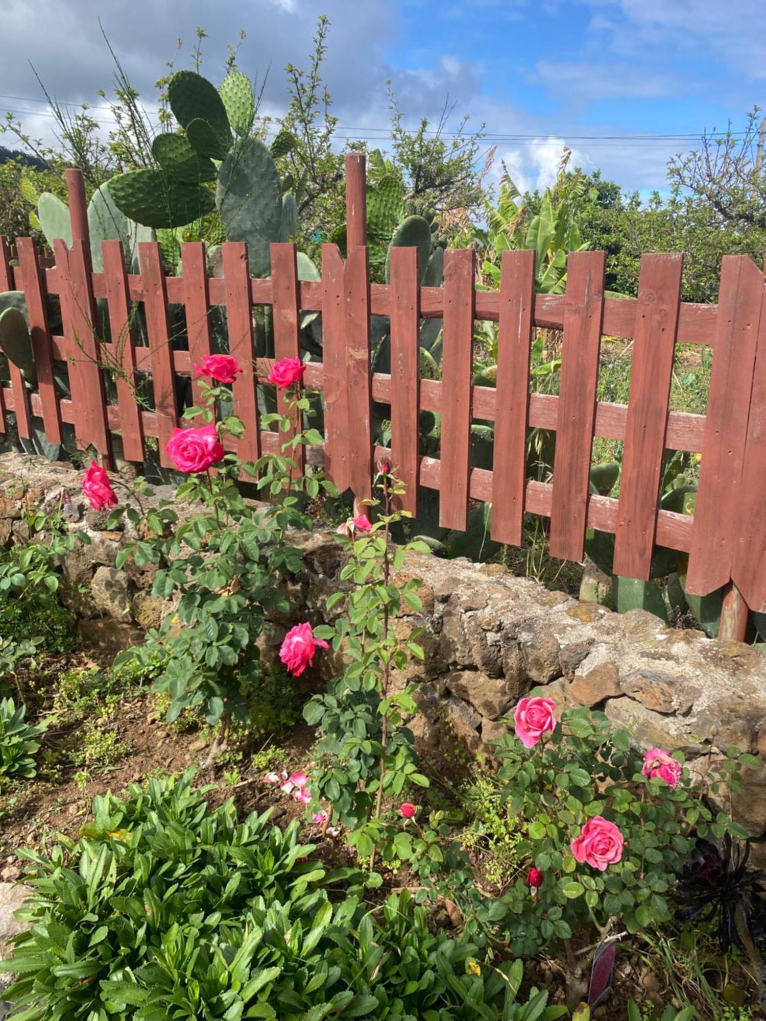 Rural House To Take A Break, La Serreria 25 - Private Garden Vakantiehuis *