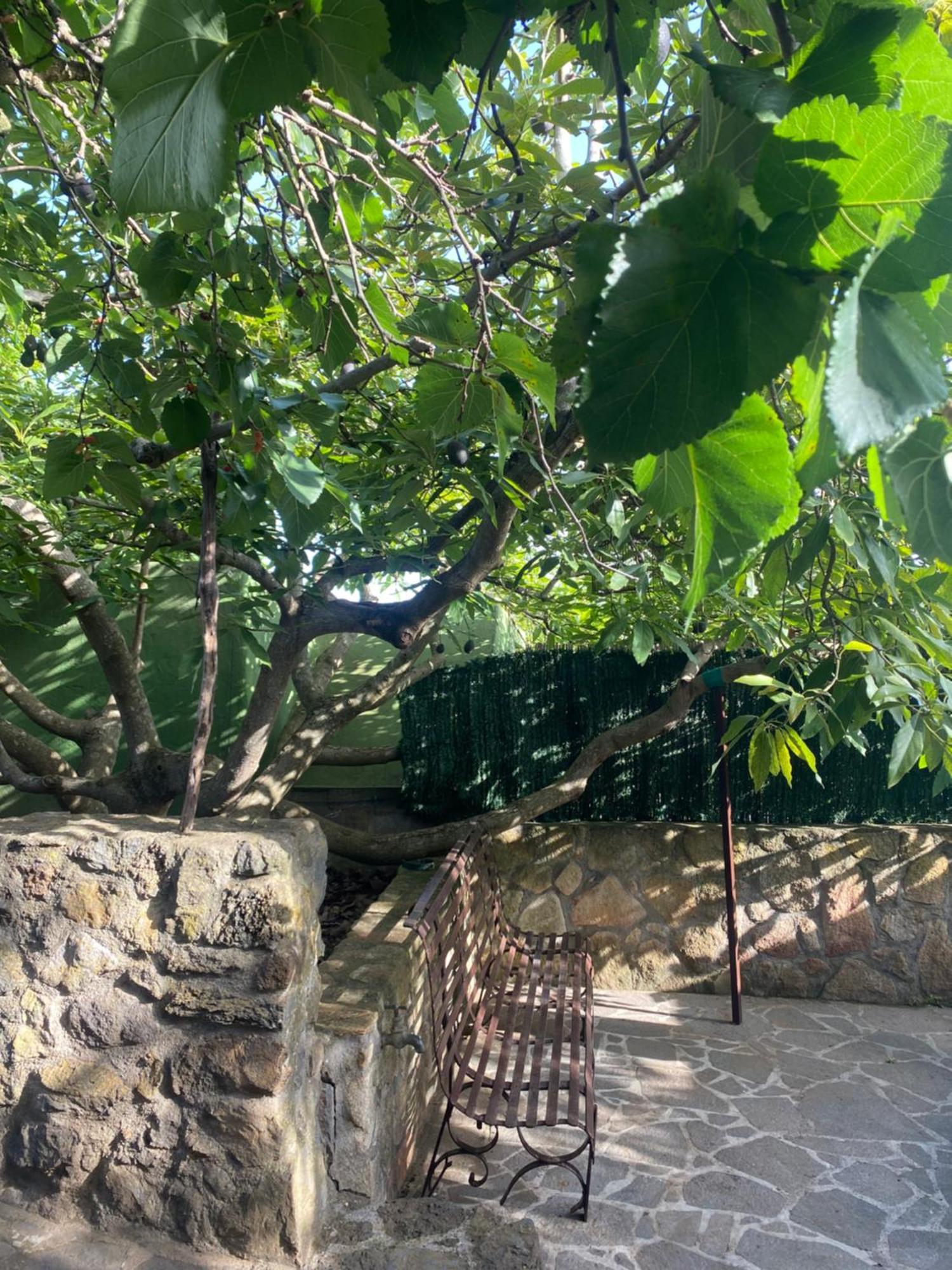 Vakantiehuis Rural House To Take A Break, La Serreria 25 - Private Garden Tacoronte