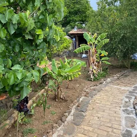 Rural House To Take A Break, La Serreria 25 - Private Garden Tacoronte Exterior photo