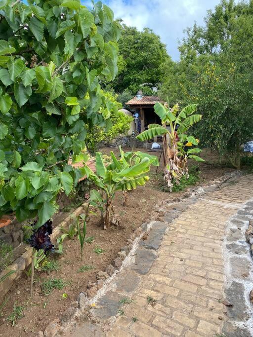Rural House To Take A Break, La Serreria 25 - Private Garden Ferienhaus