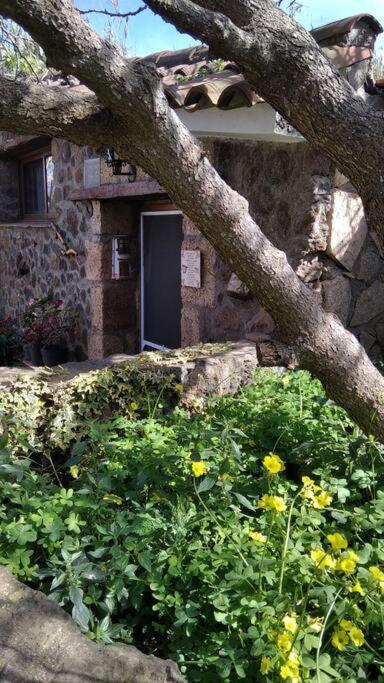 Ferienhaus Rural House To Take A Break, La Serreria 25 - Private Garden