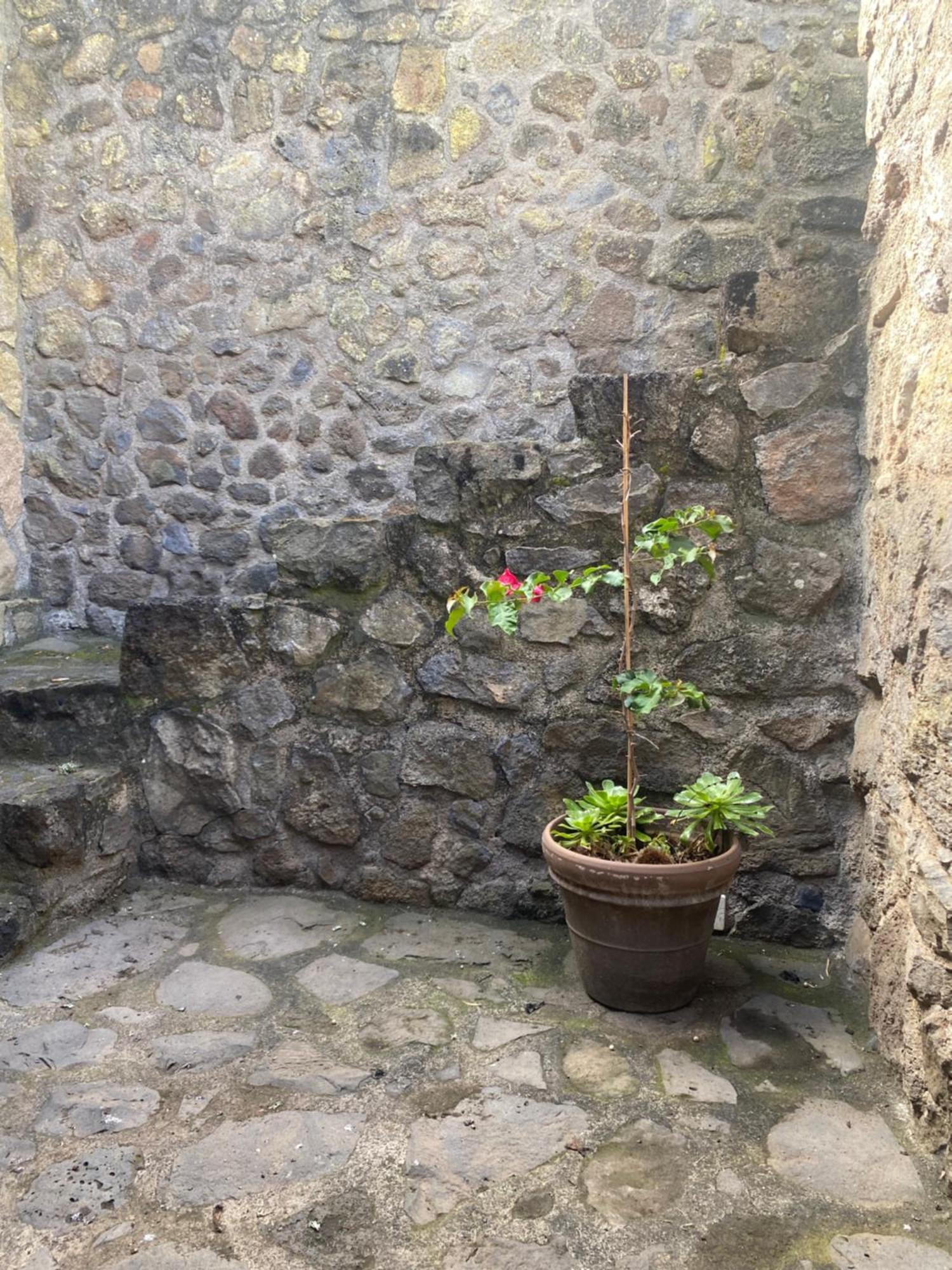 Rural House To Take A Break, La Serreria 25 - Private Garden Casa de vacances Tacoronte