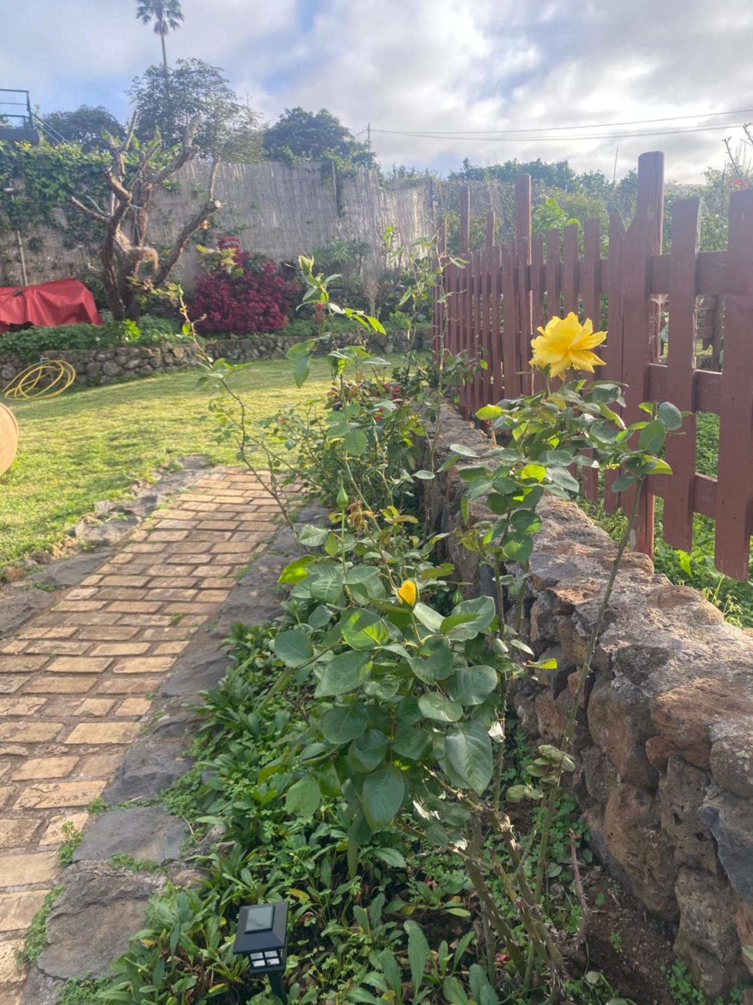 Rural House To Take A Break, La Serreria 25 - Private Garden Casa de vacances *